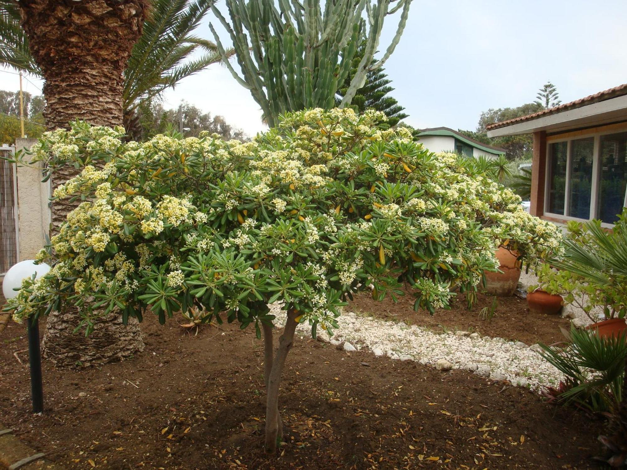Villa Cetta B&B San Leone Exterior photo
